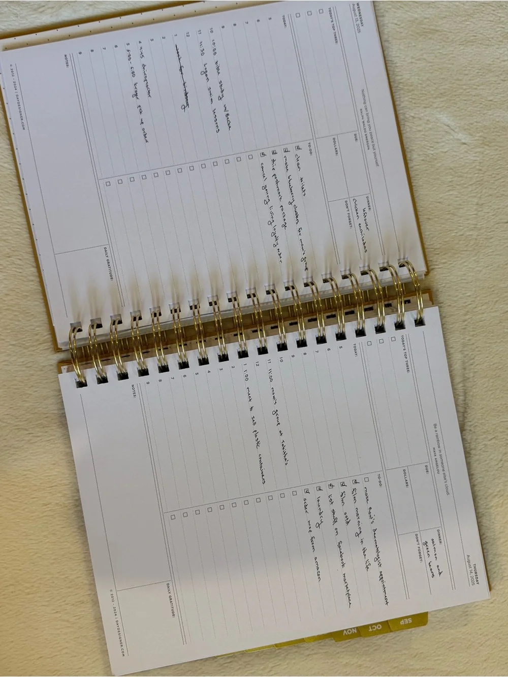 Day Designer Spiral Planner - Carmel Latte Pebble Texture